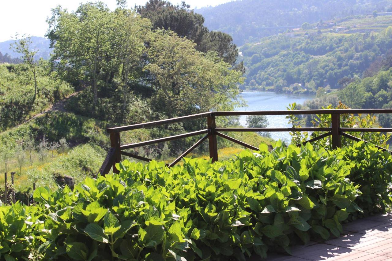 "Bouca Drigues" Casa Antiga De Pedra Com Piscina E Vista Rio Villa Амаранте Екстериор снимка