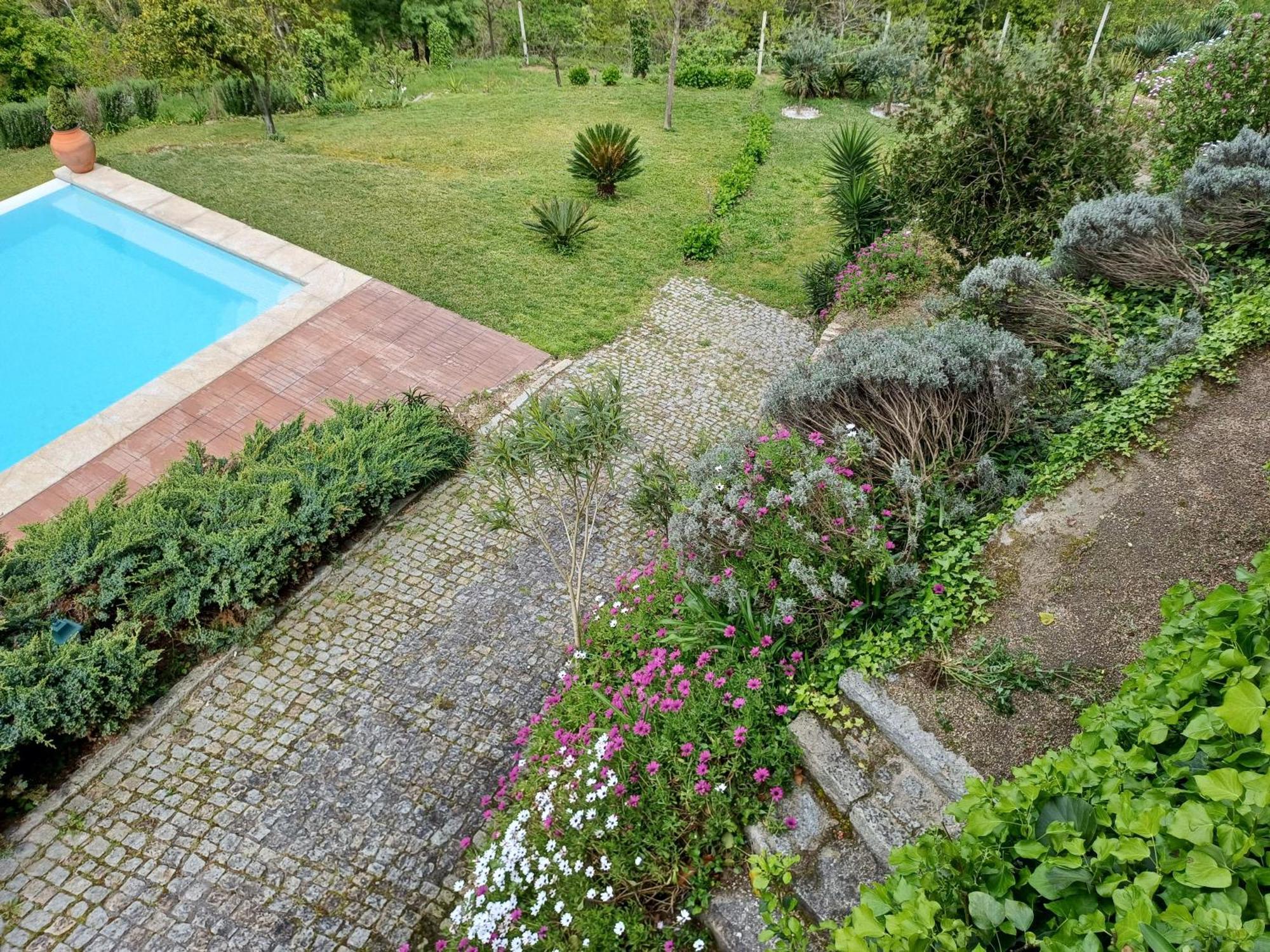 "Bouca Drigues" Casa Antiga De Pedra Com Piscina E Vista Rio Villa Амаранте Екстериор снимка